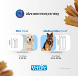 VetLife Derma Management Adult Canine Mini Treat - Sweet Potato and Fish