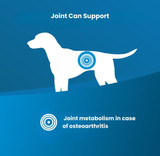 VetLife Joint Adult Medium & Maxi Treat