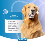 VetLife Joint Adult Medium & Maxi Treat