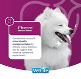 VetLife Urinary St Control Adult Canine Medium & Maxi Treat
