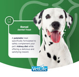 VetLife Renal Adult Canine Medium & Maxi Treat