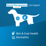 VetLife Derma Management with Fish Canine Dry Dog Food