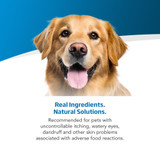 VetLife Derma Management with Fish Canine Dry Dog Food