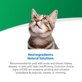 VetLife Renal Feline Dry Cat Food