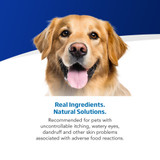 VetLife Adult HP Derma  with Pork in Gravy Canine Wet Food