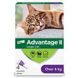 Advantage®II for Large Cats - 4 /pack