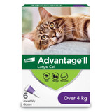 Advantage®II for Large Cats - 6 /pack