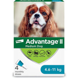 Advantage®II for Medium Dogs - 4 /pack