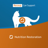 VetLife Adult Recoup Feline Wet Food