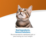 VetLife Adult Recoup Feline Wet Food