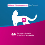 VetLife Adult Urinary ST Management Feline Wet Food