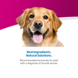 VetLife Adult Urinary ST Control Canine Wet Food