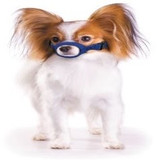 Quick Muzzle for Dogs - XSmall