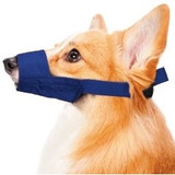 Quick Muzzle for Dogs - Medium