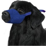 Quick Muzzle for Dogs - XXXLarge