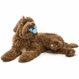 ZOGOflex Tux Dog Toy