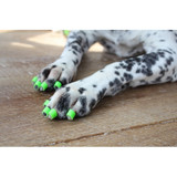 Dr. Buzby's ToeGrips Dog Nail Grips