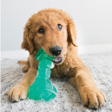 Dental Stick Squeezz Toy for Dogs