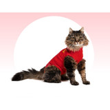 Medical Pet Shirts for Cats