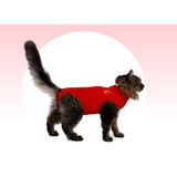 Medical Pet Shirts for Cats