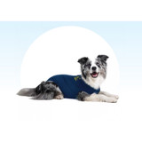 Medical Pet Shirts for Dogs