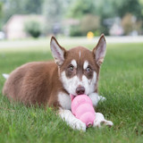 Puppy Stuffing Toy