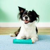 Squeezz Crackle Stick Toy for Dogs - Medium