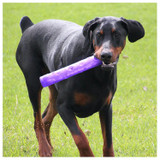 Squeezz Crackle Stick Toy for Dogs - Large