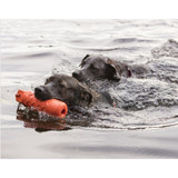Training Dummy Toy for Dogs