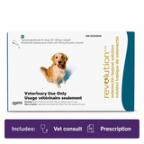 Revolution Dog Teal 20.1-40.0kg - 6 Doses