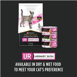 Veterinary Diets® UR® St/Ox Urinary, Dry Cat Food Formula