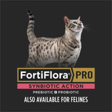 Veterinary Supplements®  FortiFlora PRO Synbiotic Action™, Powdered Prebiotic & Probiotic Supplement for Dogs