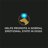 Veterinary Supplements®  Calming Care, Powdered Calming Probiotic Supplement for Dogs