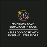 Veterinary Supplements®  Calming Care, Powdered Calming Probiotic Supplement for Dogs