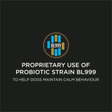 Veterinary Supplements®  Calming Care, Powdered Calming Probiotic Supplement for Dogs