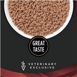 Veterinary Diets® DM Dietetic Management®, Wet Cat Food Formula
