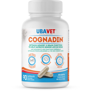 Cognadin Memory & Brain Support for Senior Dogs