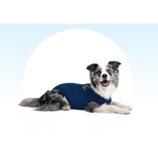 Medical Pet Shirts for Dogs
