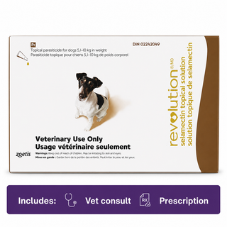 Revolution Dog Brown 5.1-10.0kg