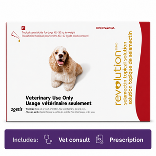 Revolution Dog Red 10.1-20.0kg
