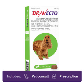 Bravecto Chew 10.1-20.0kg Green
