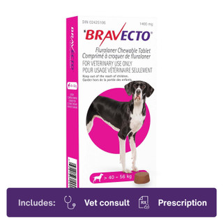Bravecto Chew 40.1-56.0kg Pink