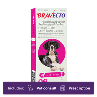 Bravecto Topical for Dogs 40.1-56.0kg Pink