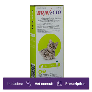 Bravecto Topical for Cats 1.2-2.8kg Lime
