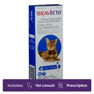 Bravecto Topical for Cats 2.90-6.25kg Blue