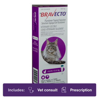 Bravecto Topical for Cats 6.26-12.5kg Purple