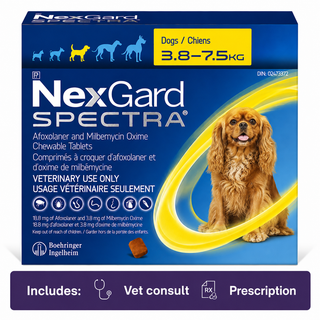 NexGard SPECTRA for Dogs 3.8-7.5 kg Yellow