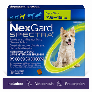 NexGard SPECTRA for Dogs 7.6-15.0 kg Green