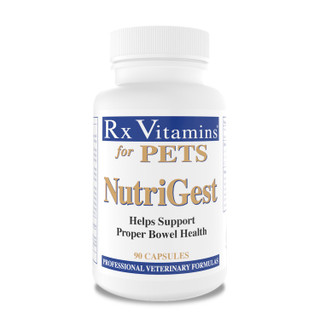 Rx Vitamins NutriGest Powder