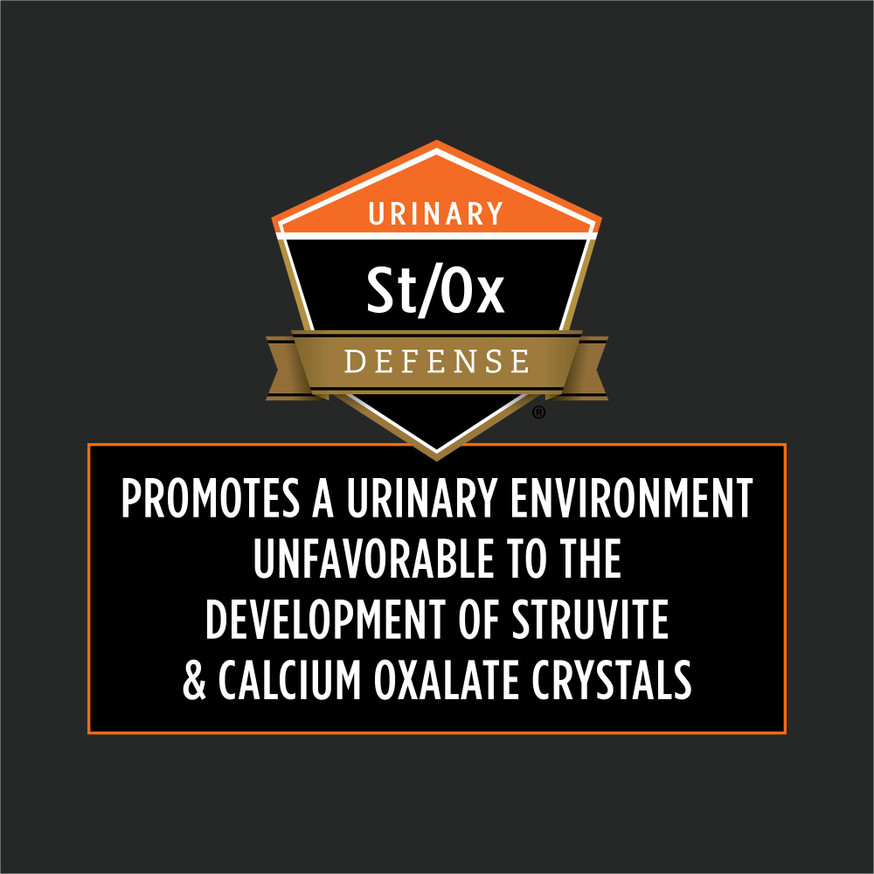 Veterinary Diets® OM Overweight Management®, Wet Dog Food Formula